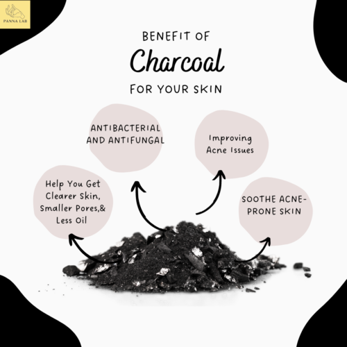 What Can Charcoal Do For Your Skin Panna Lab